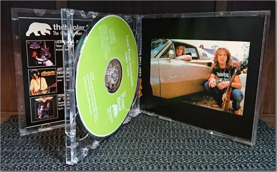 AEROSMITH / LAST TRUE DOCUMENT (2CD)