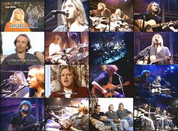 DEF LEPPARD / ACOUSTIC NIGHT 1995 JAPANESE BROADCAST PRO SHOT (1DVDR)