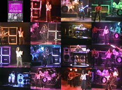 DEEP PURPLE / BUDOKAN 1993 2ND NIGHT THE VIDEO (2DVDR)