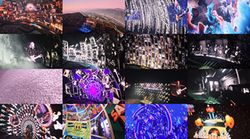 EAGLES / THE SPHERE 2025 11-01 (1DVDR)