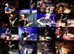 ERIC CLAPTON / ROYAL ALBERT HALL 2013 2ND NIGHT THE VIDEO (1DVDR)