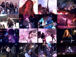 BADLANDS / DAG THE GIBLETS PRO SHOT (1DVDR)