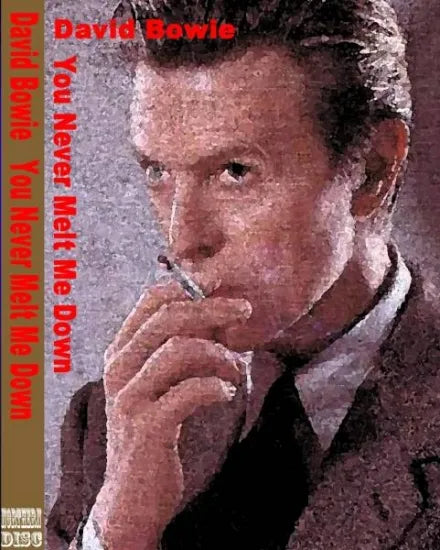 DAVID BOWIE / YOU NEVER MELT ME DOWN (2DVDR)