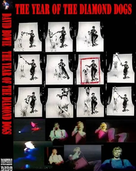 DAVID BOWIE / Year Of The Diamond Dog (2DVDR)
