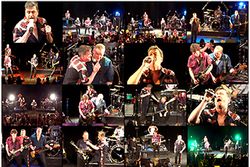 BAY CITY ROLLERS / TOKYO 2016 DAY 1 1ST STAGE (1DVDR)