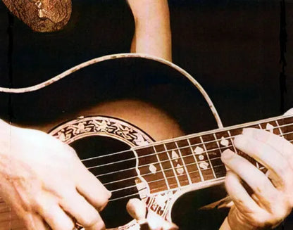 Al Di Meola / Guitar Clinic 1985 (2CDR)