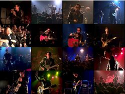 U2 / NEW YORK 2000 (1DVDR) PRO-SHOT