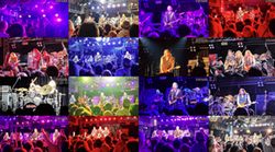 WINGER / NAGOYA 2025 THE VIDEO (1DVDR)