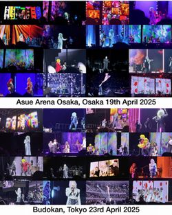 CYNDI LAUPER / FAREWELL TOUR IN JAPAN 2025 (2DVDR)