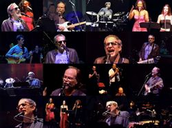 STEELY DAN / DETROIT 2003 PRO-SHOT (1DVDR)