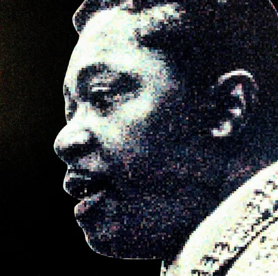 B.B.King / Fillmore East 1971 SOUNDBOARD (2CD)