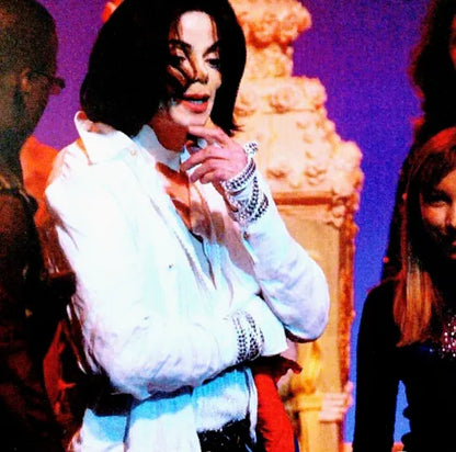 Michael Jackson / Michael Non Album Trax (2CDR)