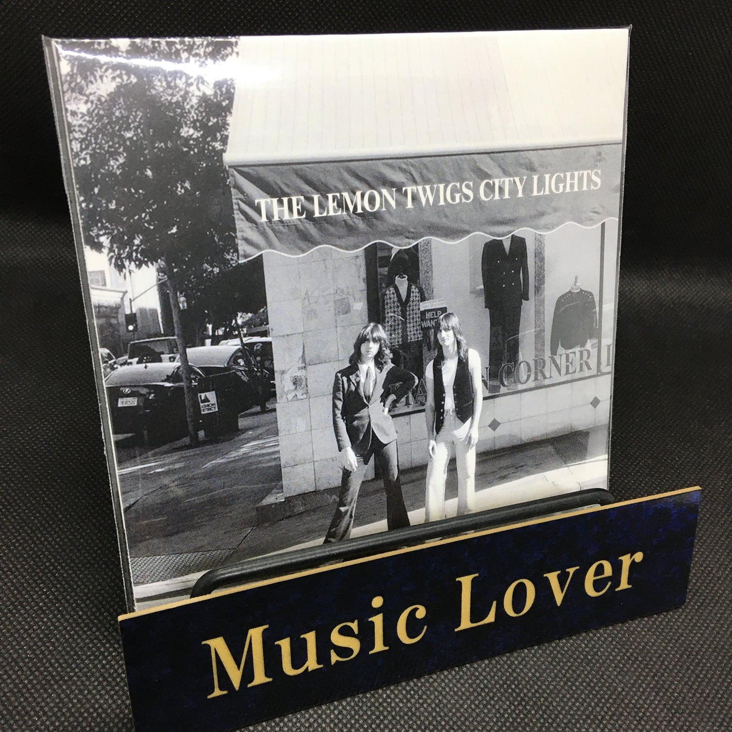 THE LEMON TWIGS / CITY LIGHTS (1CD)