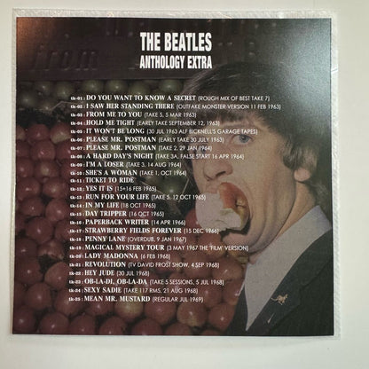 THE BEATLES / ANTHOLOGY MORE 2000 PLUS EXTRA captain acid remaster (6CD+Bonus CD)