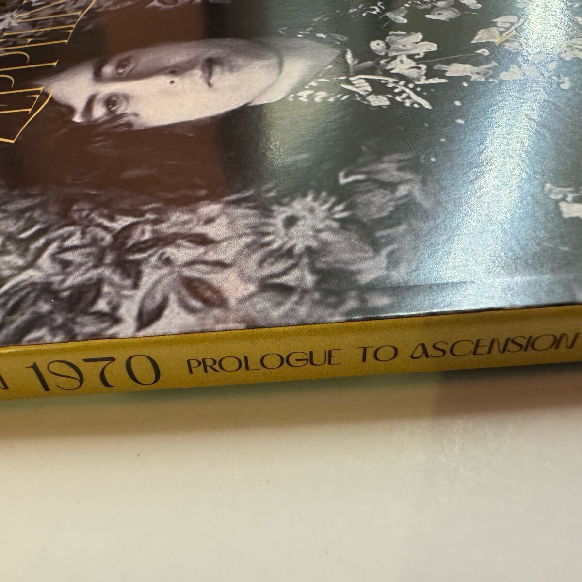 LED ZEPPELIN / Pb DEMIX (2CD + Photo Book) Pure Blues Vancouver in 1970