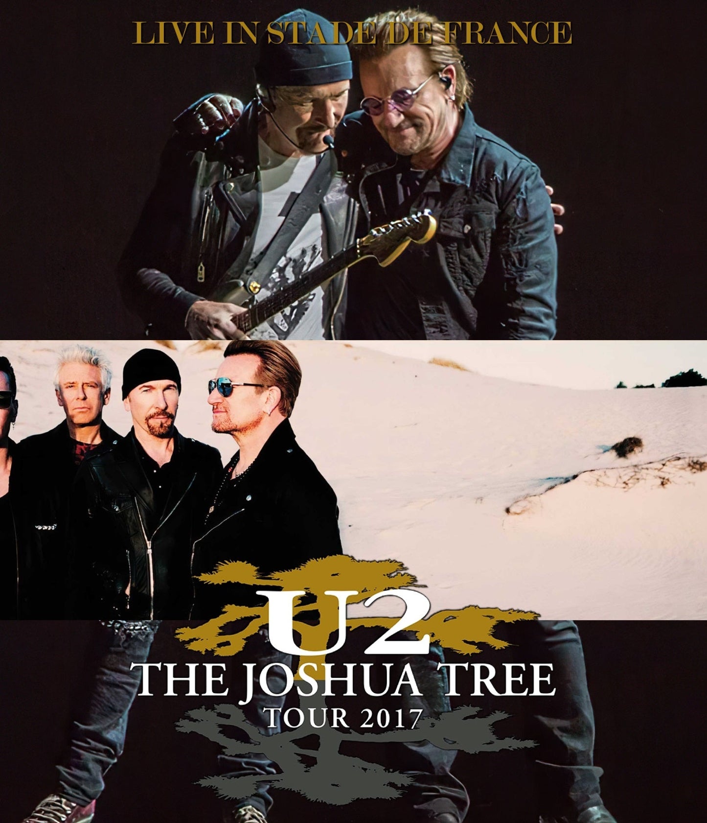 U2 / The Joshua Tree Tour 2017 (1BDR)